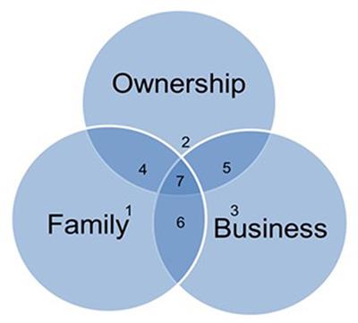 Family climate influences next-generation family business leader effectiveness and work engagement